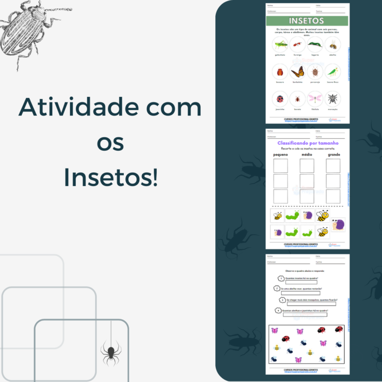Atividade com os insetos